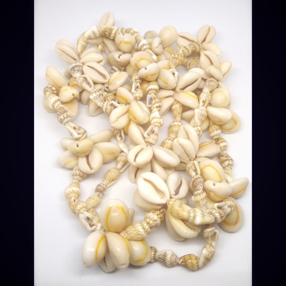 Natural Shell Long Necklace - image 4